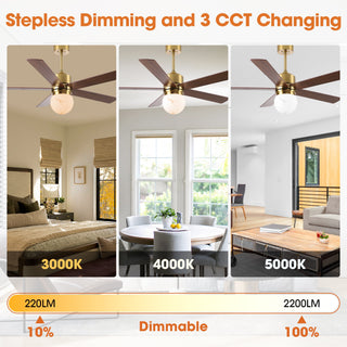52 Inch Alva Hamptons Double-sided Blades Downrod Mount LED Ceiling Fan with Remote Control