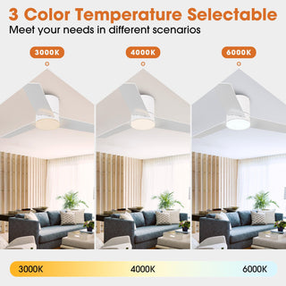 48" Hamptons Flush Mount Ceiling Fan 3 Blades with LED Lighting and Remote Control