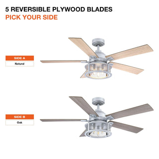 52" Lucknow Industrial Black Reversible Ceiling Fan with Lighting and Remote Control
