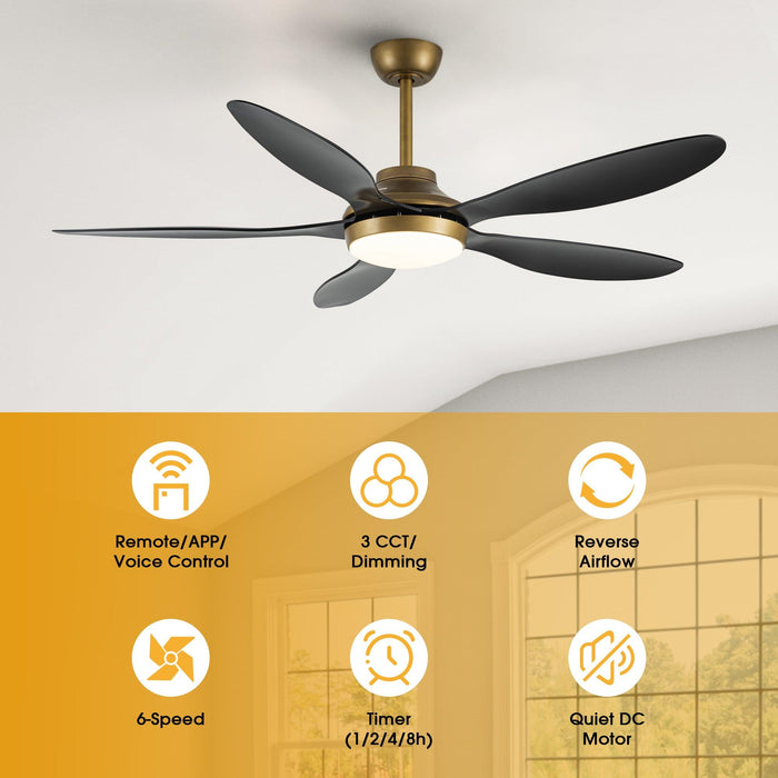 52" Punjab Smart Fan with LED Light
