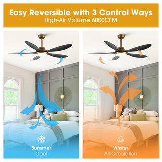 52" Punjab Smart Fan with LED Light