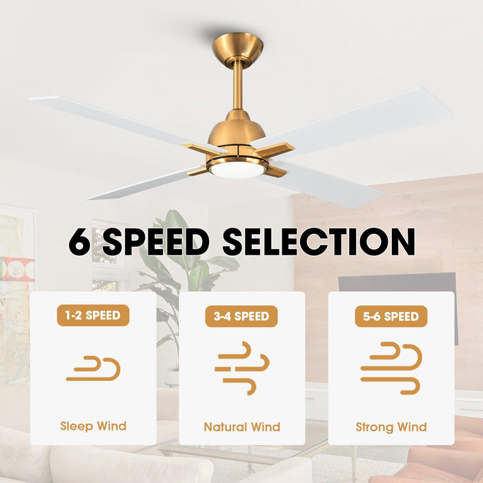 48" Linden DC Motor Downrod Mount Reversible Ceiling Fan with Lighting and Remote Control