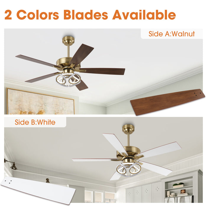 52 Inch Antique Bronze Golden Boyd Downrod Mount RGB LED Smart Fan