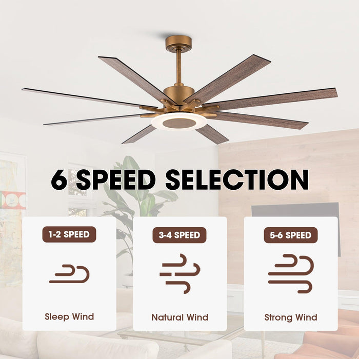 65" Godavari Industrial Downrod Mount Reversible Ceiling Fan with LED Lighting and Remote Control