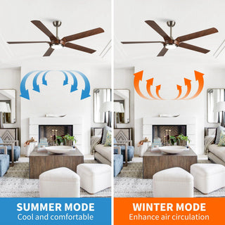 65" Fury Hamptons Farmhouse DC Motor Downrod Mount Ceiling Fan with Lighting and Remote Control