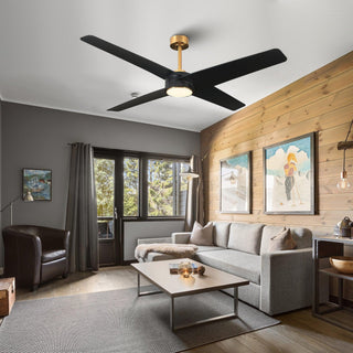 60" Parvez Hamptons Modern DC Motor Downrod Mount Reversible Ceiling Fan with Lighting and Remote Control