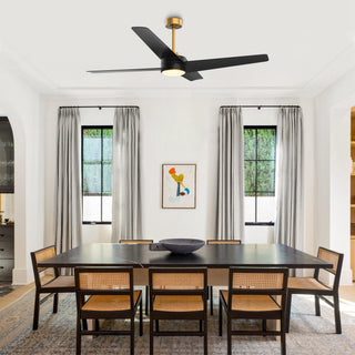 60" Parvez Hamptons Modern DC Motor Downrod Mount Reversible Ceiling Fan with Lighting and Remote Control