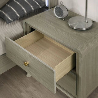 ainier 25" Modern Gray Wood Nightstand with 2 Drawers