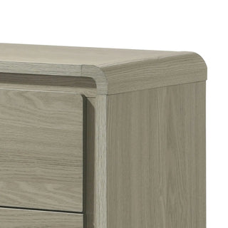 ainier 25" Modern Gray Wood Nightstand with 2 Drawers