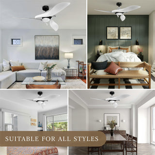 Black 54" DC Motor 6 Speed Ceiling Fan with LED Lighting