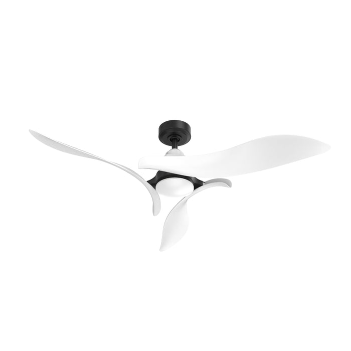 Black 54" DC Motor 6 Speed Ceiling Fan with LED Lighting