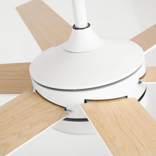 60" Volga DC Motor 6 Blades Hamptons Modern Downrod Mount Ceiling Fan with Remote Control