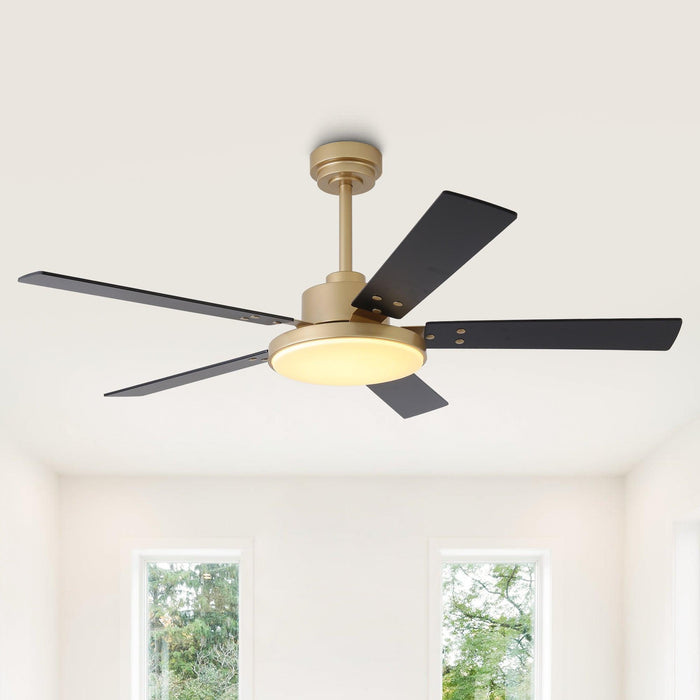 Vaczon 52 Inch Double-sided Blades Modern Ceiling Fan with Remote Control and LED Light