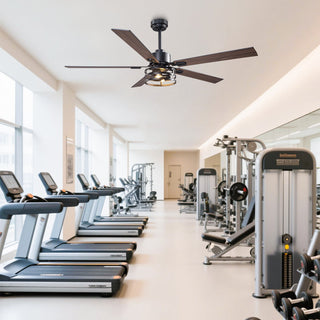 Vaczon Industrial 52 Inch 60 Inch Downrod Ceiling Fan with Light APP Remote Control