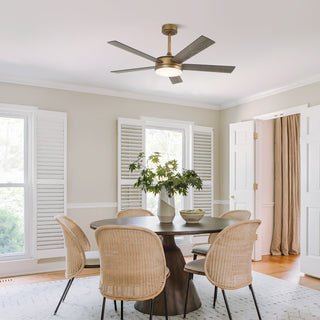 Vaczon 48 Inch Tracy Hamptons Downrod Mount LED Ceiling Fan with APP & Remote Control