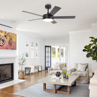 Vaczon 48 Inch Tracy Hamptons Downrod Mount LED Ceiling Fan with APP & Remote Control