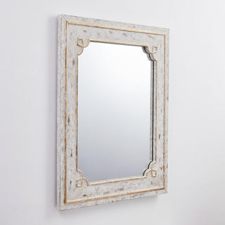 Traditional Rectangle Mirror Antiqued Casual Wall Decoration